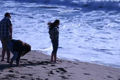 DSC_0398 (Large).JPG